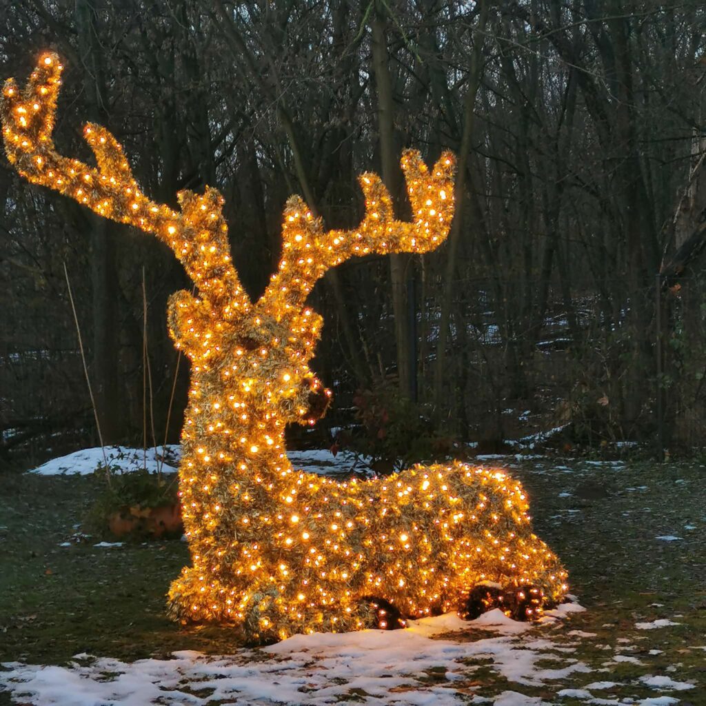 Weihnachtsmotiv Hirsch